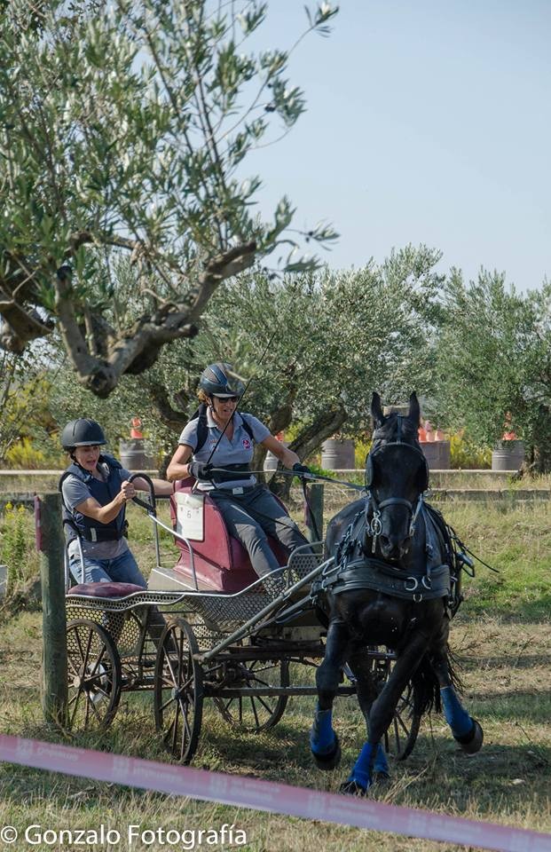 David Aramendía y Carmen Goiburu, Campeones Navarros de Enganches Completo en Troncos y Limoneras